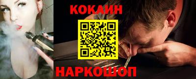 МДПВ Бийск