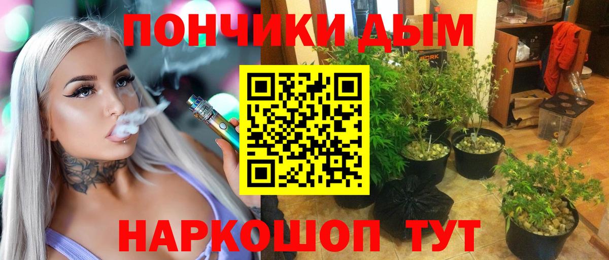Бошки Шишки Amnesia Зеленогорск